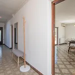Bosa